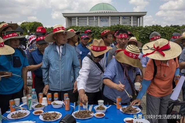 韩国人曾有多痴迷狗肉？医生都会劝伤者食用，菜名和我国近乎相同