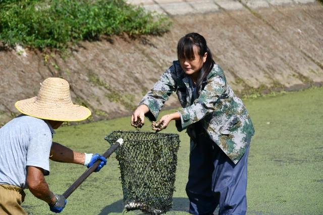 四年遭遇三次天灾，女兵养龟产值超200万！