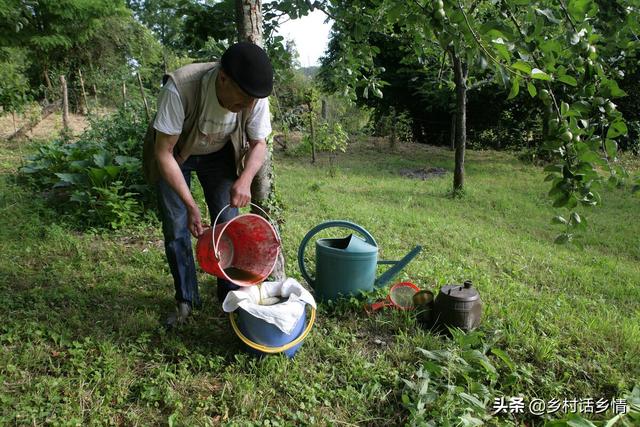 这种傻瓜式发酵肥料的方法火了，很多人纷纷效仿，效果一级棒