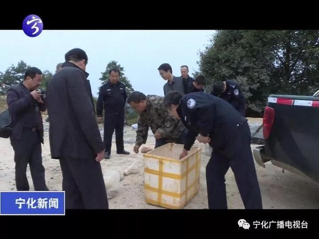 街拍爆料：“蛇王”被刑拘了！他常年做这个生意，冰柜放的都是……；还敢玩吗？这伙游戏诈骗团伙被抓了！