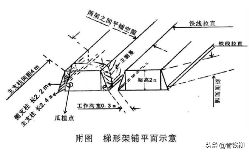 海南万宁冬种苦瓜梯形架铺设置及高产配套技术