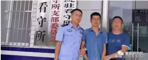 药残越查越严，鸡场老板被判刑，养鸡户怎么办？