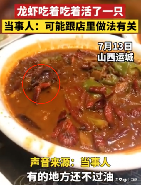 小龙虾吃到一半突然活了一只 食客：不稀奇 跟做法有关