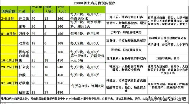 养5千只土鸡需要多少钱?一年能有多大的利润?看看内行人有数了