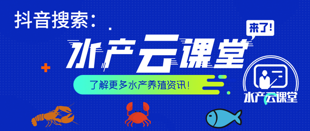 “靠天补碳”转向“施肥补碳”，水产养殖户这篇补碳攻略定要学会