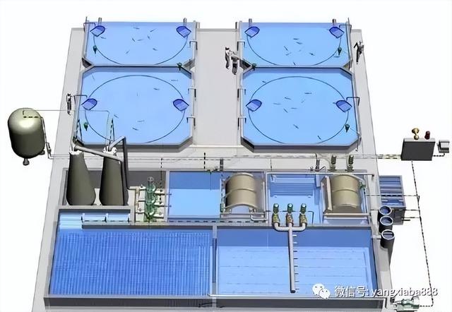 湖北南港农业科技有限公司介绍室内循环水养虾