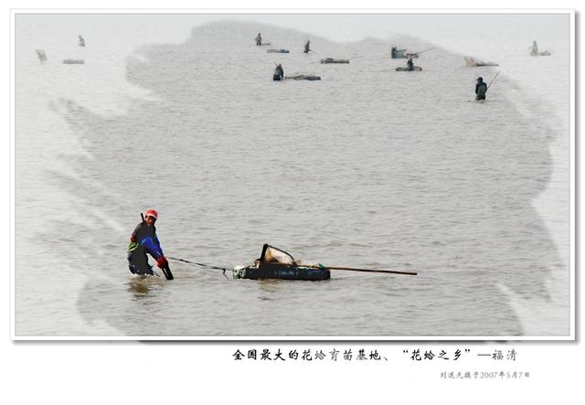 奇特的闽都海文化景观—“花蛤之乡” 饱览“花仙子”舞姿