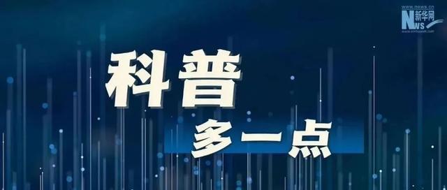 那些号称“养不死”的植物，为啥被你养死了？这4招很关键