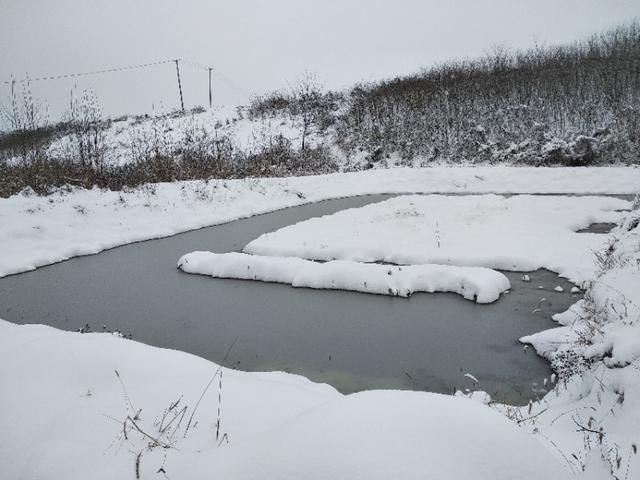 冰雪天对小龙虾养殖有没有影响？怎样安全越冬