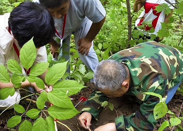 重磅曝光：长白山“守参蛇”真相揭秘！