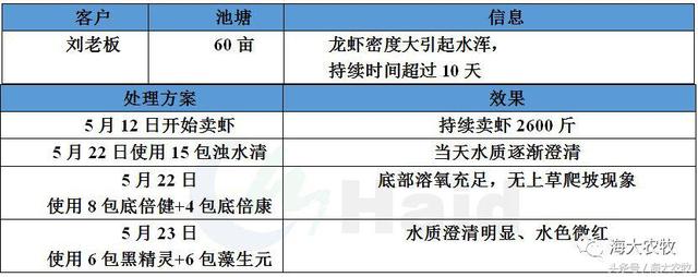 长期水浑，虾蟹混养塘还能顶住么？快速净水，有绝招！