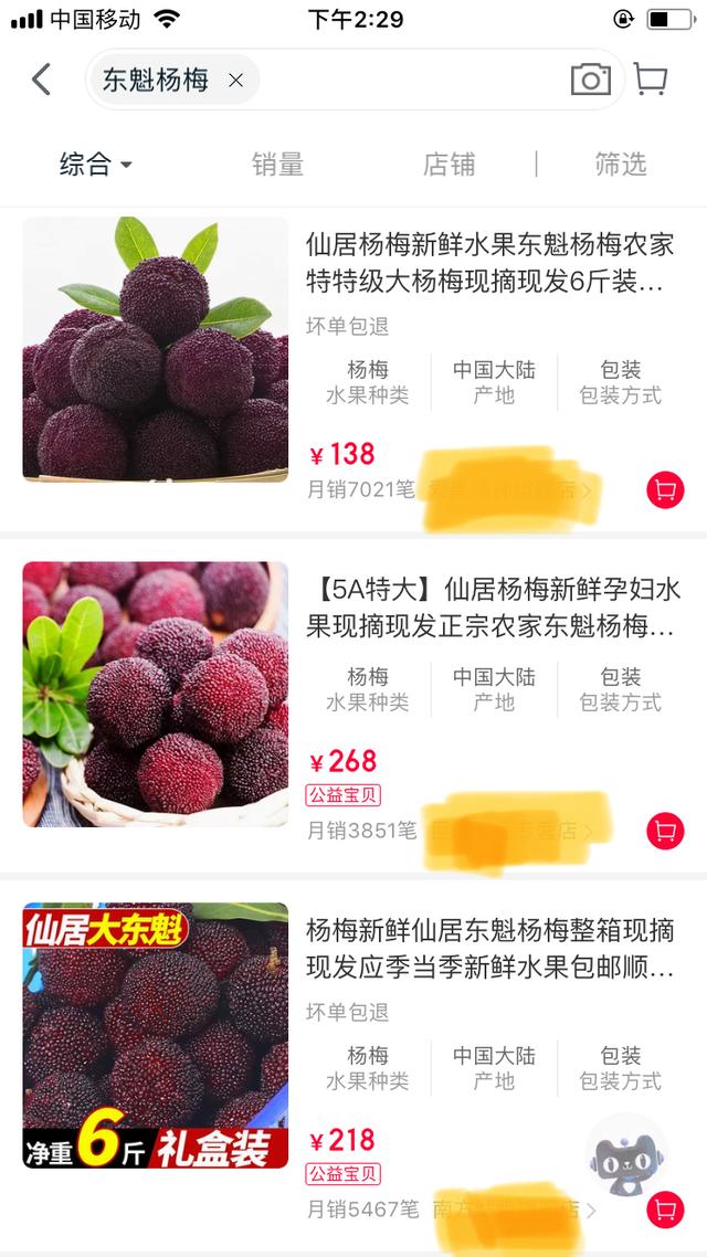 中国“杨梅王”大似乒乓球，种植要注意，挑选有技巧