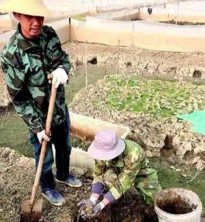 青蛙养殖是真的吗(农民靠人工养殖青蛙能致富吗，看看看他们怎么做到的？)