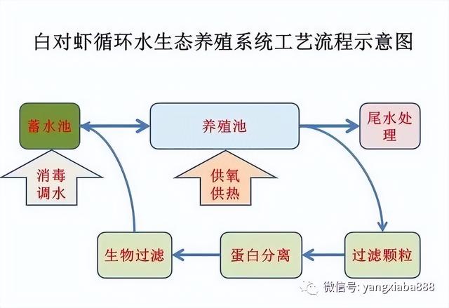 湖北南港农业科技有限公司介绍室内循环水养虾