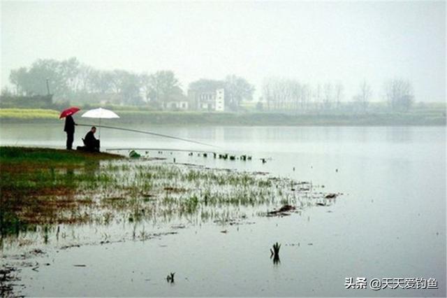 春钓浅滩，最适合的几种天气，这些天气鱼“胆儿大”，下竿就上鱼