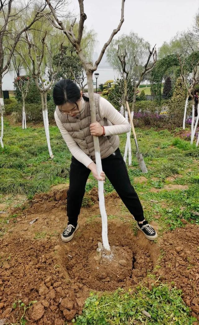 收藏！植树专家教你种春天