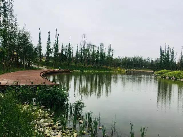 漫步水中栈道，城南再添一处湿地公园！