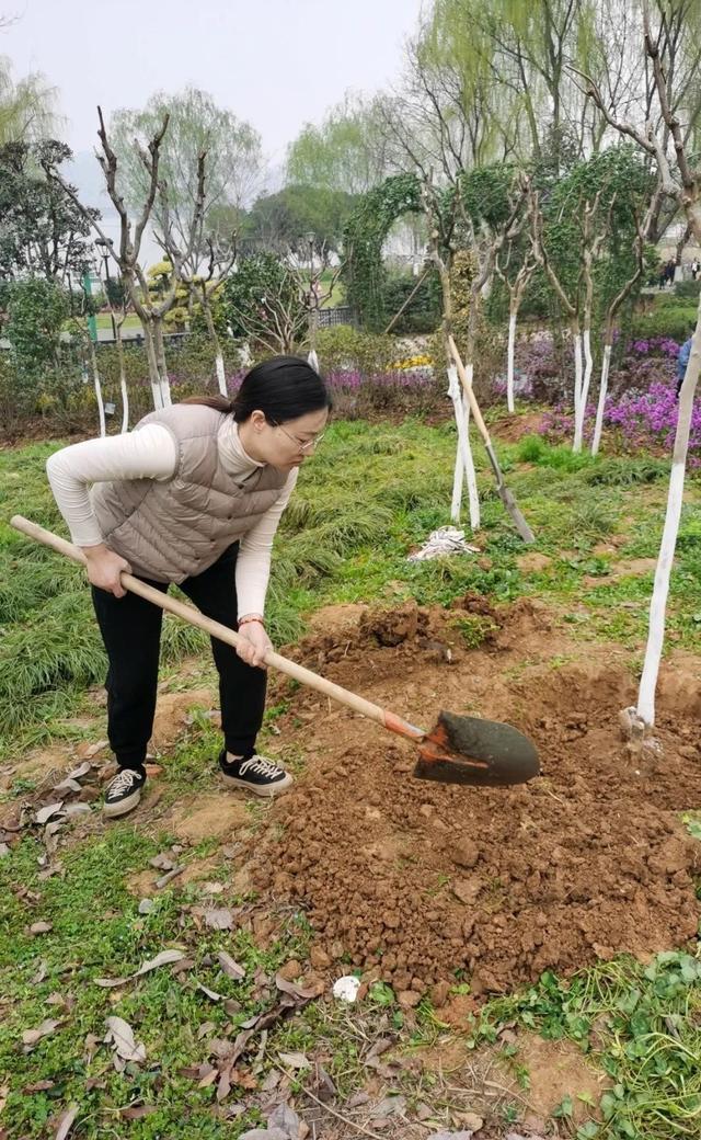 收藏！植树专家教你种春天