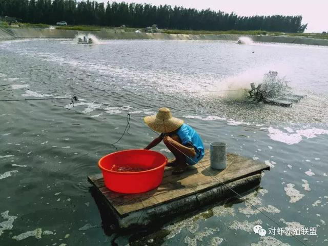 养殖误区：海水不需要调水！真的是这样吗？