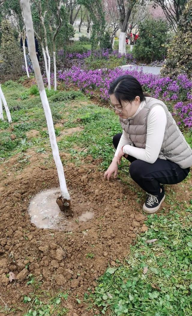 收藏！植树专家教你种春天