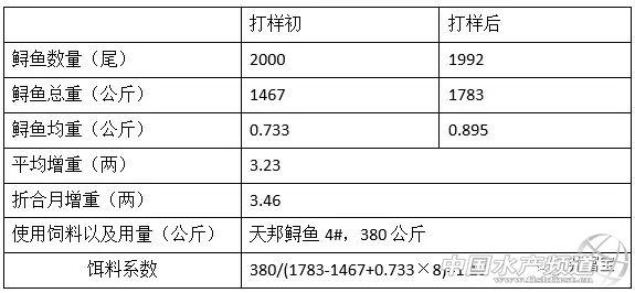 月增重3两46！难怪大家都说全熟化鲟鱼料好！