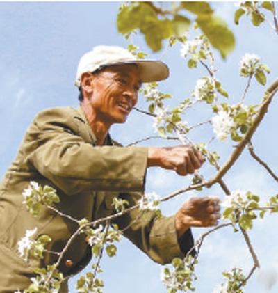 产业致富忙 法治添保障