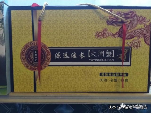 20多年河蟹养殖老手活学活用，用出“1+1＞2”的效果！他们的精品蟹之路，走得更稳了