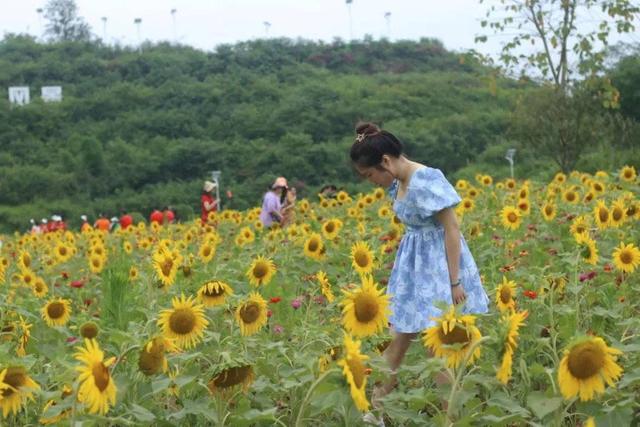 很好的样子｜四川泸州龙马潭区双加镇大冲头村“变身记”：昔日“省贫困”成了乡村振兴“省样板”