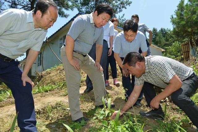 行情似火年年涨，1亩利润达4万，农民积极性不高，为啥？答案来了