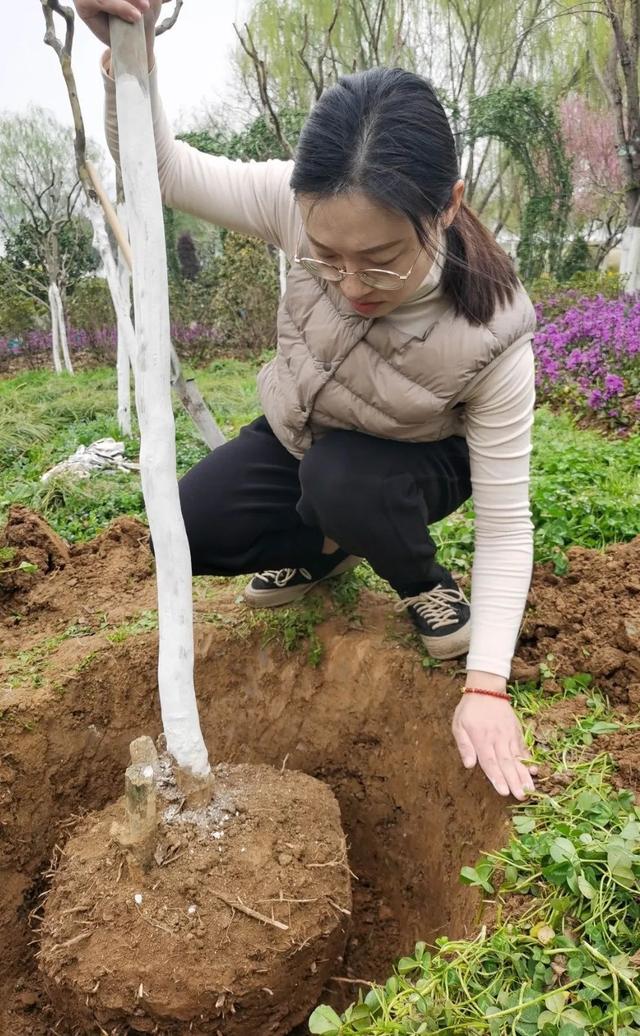 收藏！植树专家教你种春天