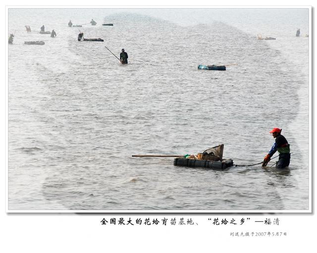 奇特的闽都海文化景观—“花蛤之乡” 饱览“花仙子”舞姿