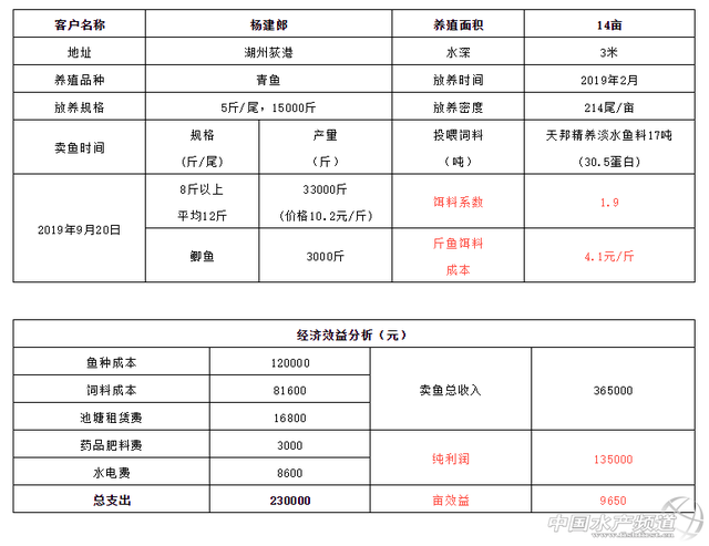 青鱼养殖的盈利新模式，值得学习