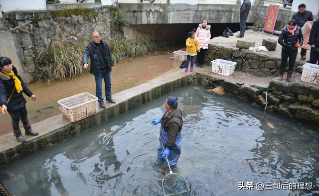 水泥池泥鳅养殖之道，做好水质管理，助力丰收和品质提升！