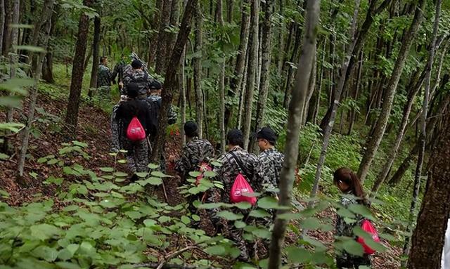 重磅曝光：长白山“守参蛇”真相揭秘！