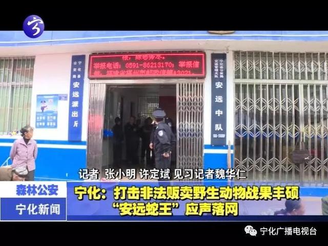 街拍爆料：“蛇王”被刑拘了！他常年做这个生意，冰柜放的都是……；还敢玩吗？这伙游戏诈骗团伙被抓了！