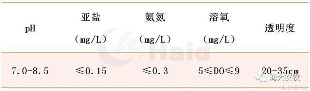 开花方案再升级！鲮鱼鱼花长速飞快，9天鳞片长成