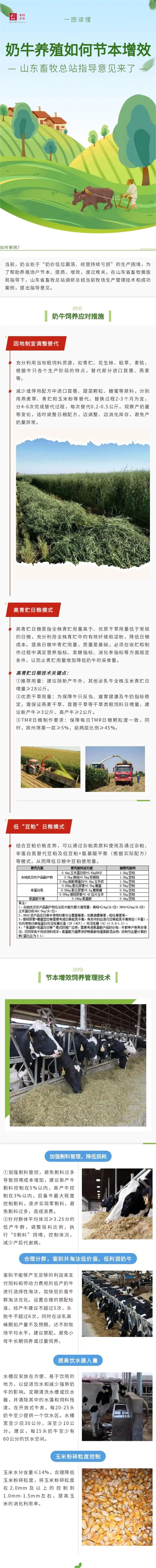 一图读懂｜当前奶牛养殖如何节本增效？技术指导意见来了