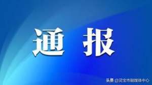 洛阳一养殖场现近百只豹猫(河南灵宝：全市新冠肺炎疫情及密切接触者管理情况通报「3月1日疫情快报」)