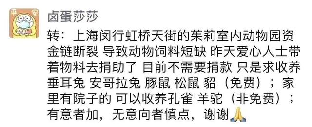 管理混乱、宠物死亡、资金链断裂：网红生意“室内动物园”要凉了？