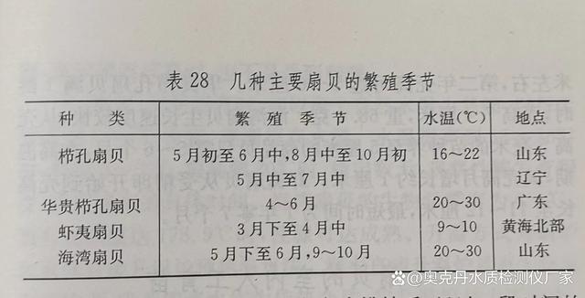 扇贝是如何繁殖与生长的？《扇贝养殖系列》文章之二