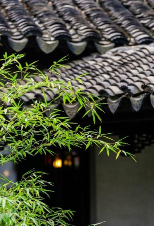 「诗词鉴赏」夏木深，草虫鸣，悠悠夏日听虫鸣，赏最美的诗词！​