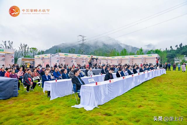 仙山秀水好蜂景，车城人民庆丰收 十堰茅箭“蜂”收节甜蜜开启