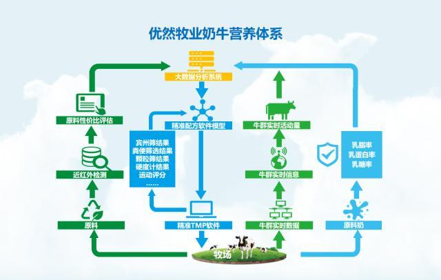 中国最大反刍动物饲料供应商优然牧业元兴饲料销量破百万吨