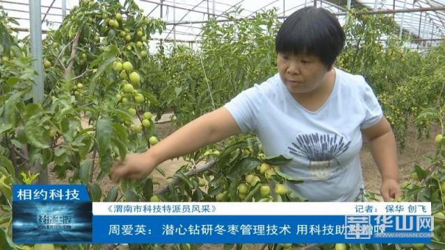 周爱英：潜心钻研冬枣管理技术 用科技助农增收