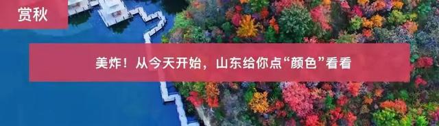 蟹黄流油、蟹肉鲜嫩……吸吮一口产自山东的大螃蟹，醉了