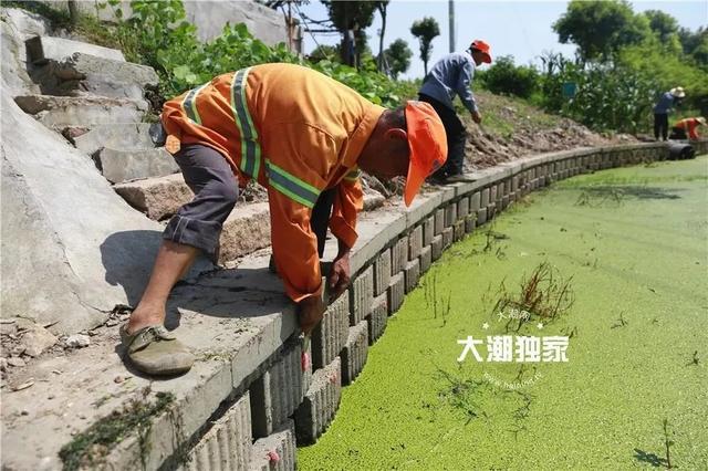 多地已出现 这种东西别误食！寄生虫多达6000条 严重可致死