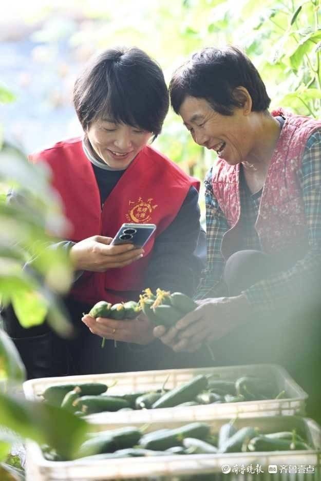 临沂：“网红”走进蔬菜大棚，帮菜农广撒网卖菜