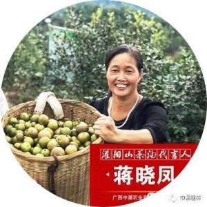 油茶树种植技术书籍(【关注】我的油茶树之“恋”)