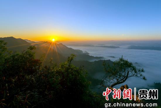 贵州习水：飞鸽点睛山水图 寨坝康养宜居业