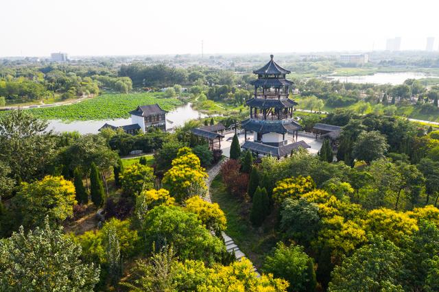 周末哪里玩！你知道沧州这个地方藏着华北地区县级城市中最大的淡水型公园吗？